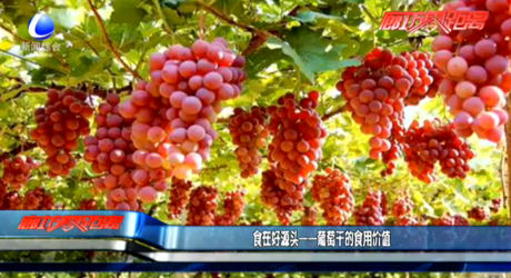 食在好源頭——葡萄干的食用價(jià)值