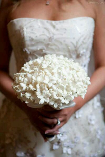 我們結(jié)婚吧11月22日