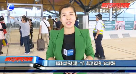 港珠澳大橋開通運(yùn)營(yíng)一個(gè)月 廊坊首批游客一覽大橋風(fēng)采