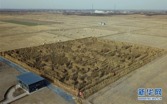 （社會(huì)）（2）挑戰(zhàn)玉米秸稈迷宮