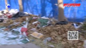 市民倡議：市民素質(zhì)有待提升 應(yīng)