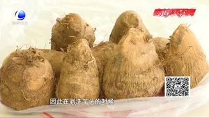 食在好源頭——芋頭的食用價值