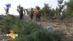 系列報道《治山記》（四）涅槃重生 持續(xù)發(fā)展