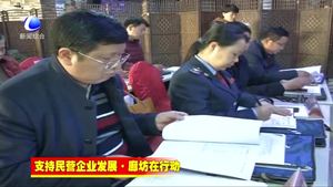 “一把手”談支持民營企業(yè)發(fā)展