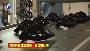 香河新興產(chǎn)業(yè)示范區(qū)精準(zhǔn)發(fā)力推進(jìn)民營(yíng)經(jīng)濟(jì)高質(zhì)量發(fā)展