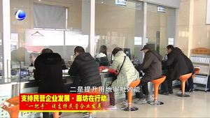 “一把手”談支持民營企業(yè)發(fā)展