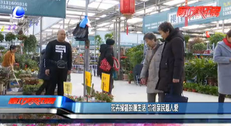 花卉綠植扮靚生活 價格親民惹人愛