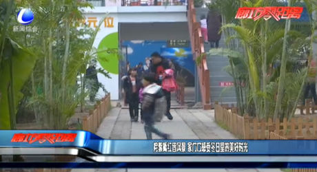 姹紫嫣紅皆風(fēng)景 家門口感受冬日里的美好時(shí)光