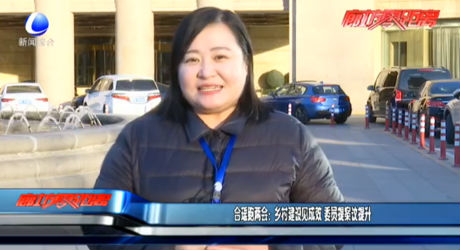 合瑤跑兩會：鄉(xiāng)村建設建成效 委員提案議提升