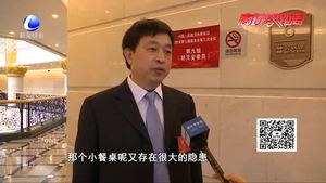 解碼提案議案：去年兩會(huì)建議和提案落地有回響