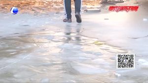 零距離·熱線：轎車過橋洞掉進冰窟窿 司機希望設置警示牌