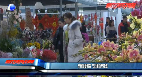 年宵花受熱捧 節(jié)日裝點(diǎn)年味濃