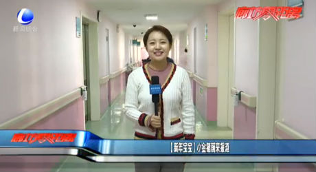 【新年寶寶】小金豬前來報(bào)道