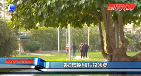 游園過年文明相伴 景美人美處處顯和諧