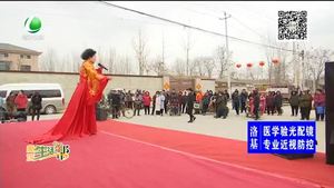 歡欣鼓舞過大年 送文化進萬家