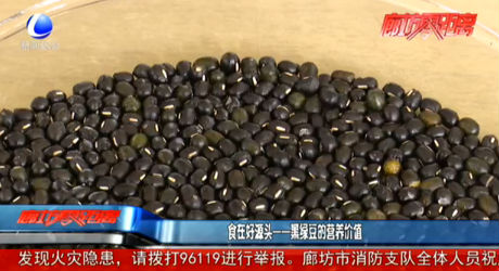 食在好源頭——黑綠豆的營養(yǎng)價值