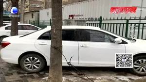 我市市區(qū)多條街巷成了停車場