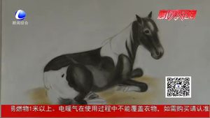 草根畫家趙鳳鸞 方寸之間勾勒山水情