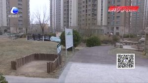 “寵物廁所”進(jìn)小區(qū) 文明養(yǎng)寵新舉措獲居民點贊