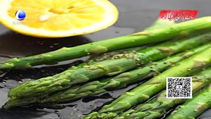 驚蟄養(yǎng)生：清淡飲食 早睡早起去“春困”