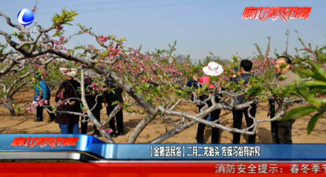 【金豬話民俗】二月二龍?zhí)ь^ 傳統(tǒng)習俗有講究