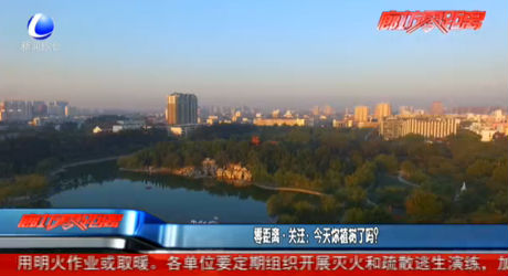 零距離關(guān)注：今天你植樹了嗎？