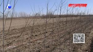 萬莊鎮(zhèn)扎實推進征地工作 確保城際鐵路S6線順利施工