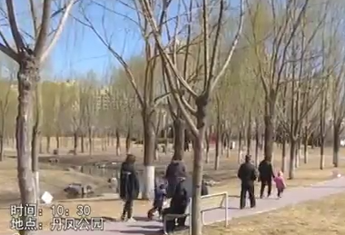 助你文明——文明游園 愛護環(huán)境