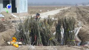 全國人大代表方金華：服務(wù)果農(nóng)面對面“兩會”精神到田間