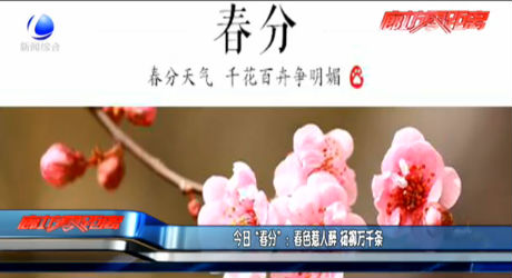 今日“春分”：春色惹人醉 楊柳萬千條