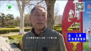 公共區(qū)域吸煙的危害 您知道嗎