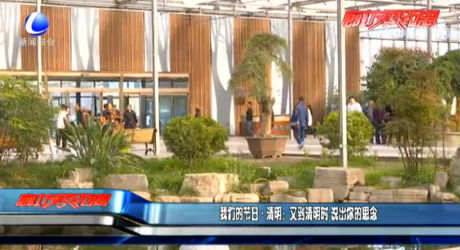 我們的節(jié)日 清明：又到清明時 說出你的思念