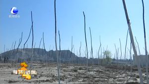 我市高標準高質(zhì)量做好環(huán)保督查整改工作 全面加強生態(tài)環(huán)境建設(shè)