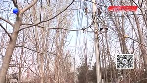 廊坊電力營銷部提示您：沒藥違規(guī)種樹