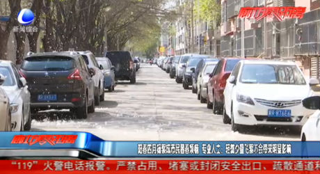 陽春四月楊絮成市民暮春煩惱 專業(yè)人士：輕微少量飛絮不會帶來明顯影響