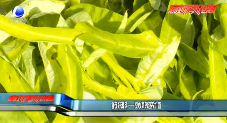 食在好源頭——空心菜的營養(yǎng)價(jià)值