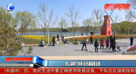 夢幻湖畔花爭艷 春色滿園郁金香