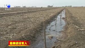 王永東：退伍不褪色 一心為色做實(shí)事