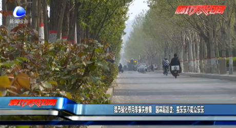 我市綠化帶月季損失慘重 園林局倡議：獨樂樂不如眾樂樂