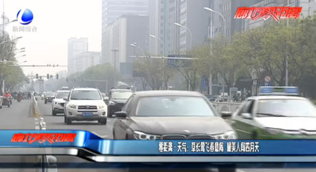 零距離·天氣：草場鶯飛春意鬧 最美人間四月天