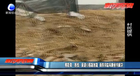 零距離熱線：新建小圍墻倒塌 雨季來臨問題亟待解決