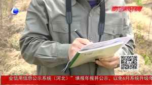 建設(shè)者說：一線電力運檢工 守護萬家燈火
