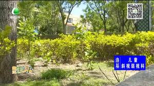 助你文明——愛護(hù)綠化 保持清潔