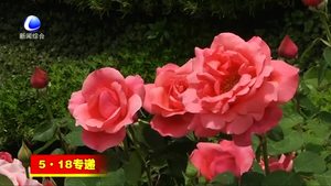 我市全力本站“5·18”經洽會