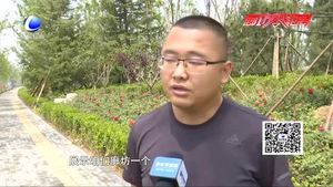 藝術(shù)大道添新景 精彩綻放 “5·18”