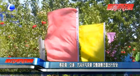 零距離·交通：大風天氣來襲 交警提醒注意出行安全