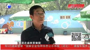 村民家中發(fā)現(xiàn)“啄木鳥”？實為戴勝