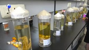 2019年廊坊市科技活動在周舉辦科普體驗(yàn)活動