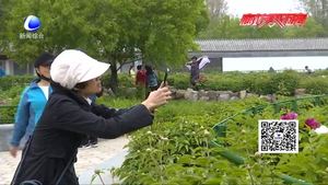 老年人期盼”說走就走的旅行“跟團(tuán)游不應(yīng)高門檻