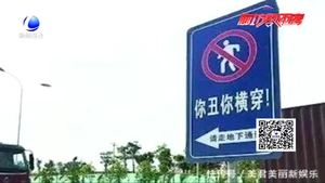 “被撞死翹翹”另類安全標(biāo)注惹爭(zhēng)議